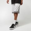 Karl Kani Small Signature Pinstripe Mesh Shorts white/black L