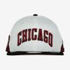 NEW ERA CHICAGO BULLS CITY EDITION 2022 WHITE