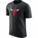 NBA X Nike Chicago Bulls Nike Dry Logo BLACK