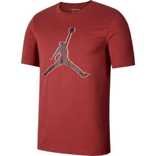 JORDAN 23D TEE CEDAR