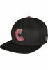 CAYLER & SONS WL LOS MUNCHOS PINSTRIPE CAP BLACK/MC