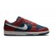 Nike Dunk Low Retro Canyon Rust/Summit White-Valerian Blue 375