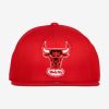 MITCHELL & NESS CHICAGO BULLS TEAM GROUND 2.0 FITTED HWC Red