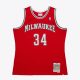 Mitchell & Ness NBA Dark Alternate Jersey Bucks 2014 Giannis Anteokounmpo Red XL