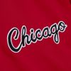 MITCHELL & NESS CHICAGO BULLS Mens Jacket - Button Front Scarlet