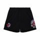 MITCHELL & NESS NBA POSTGAME FLEECE SHORTS VINTAGE LOGO TORONTO RAPTORS BLACK XXL