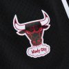 MITCHELL & NESS NBA DESTINATION LEISURE GAMEDAY SHORTS Chicago Bulls Black