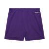 Mitchell & Ness NBA Gameday Mesh 7In Shorts Vintage Logo Los Angeles Lakers Purple M