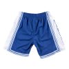 MITCHELL & NESS NBA LOS ANGELES LAKERS SWINGMAN SHORTS ROYAL