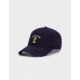 Cayler & Sons WL King Garfield Curved Cap navy/mc