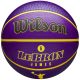 WILSON NBA PLAYER ICON OUTDOOR BSKT LEBRON 7