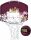 WILSON NBA TEAM MINI HOOP Cleveland Cavaliers Red